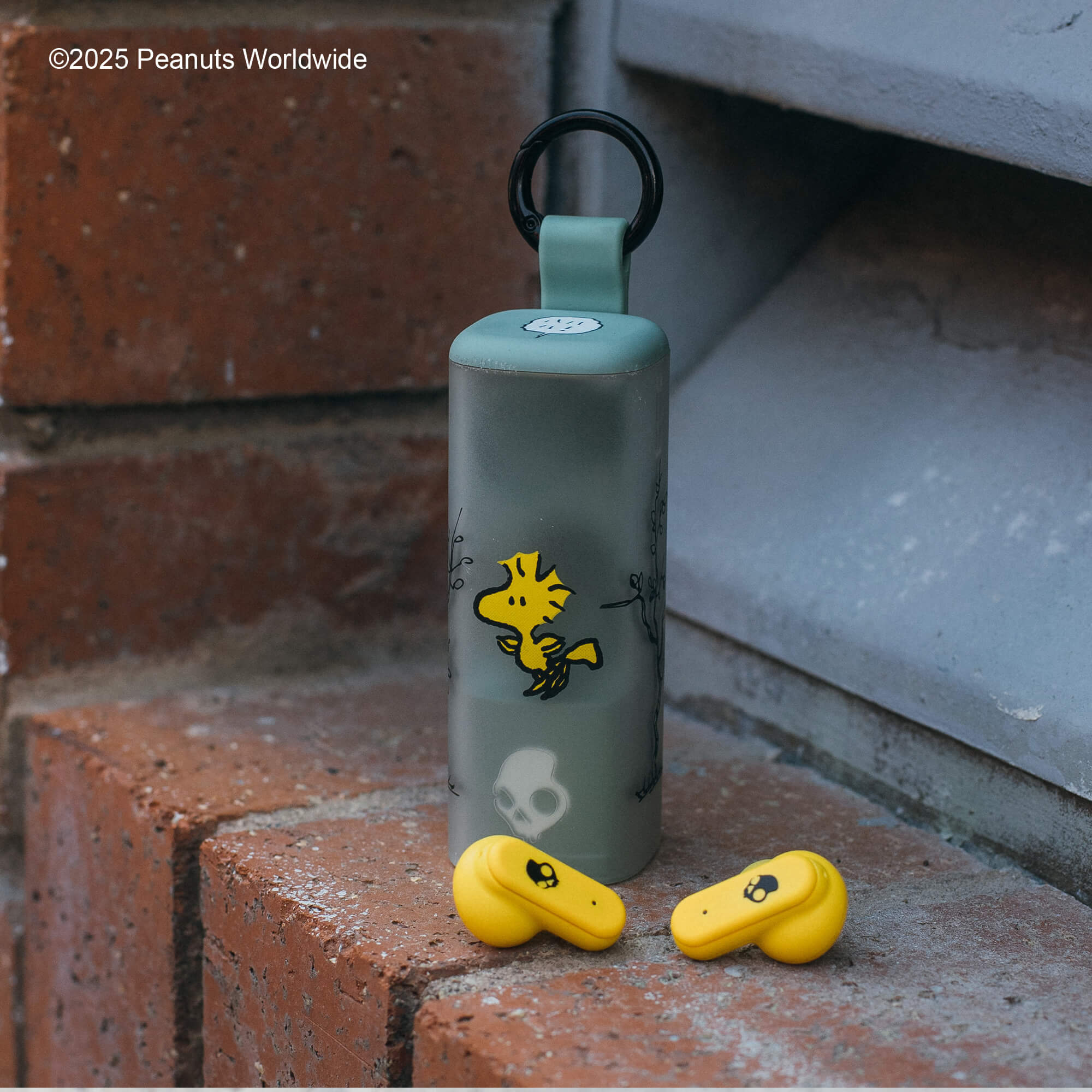 Product image 111